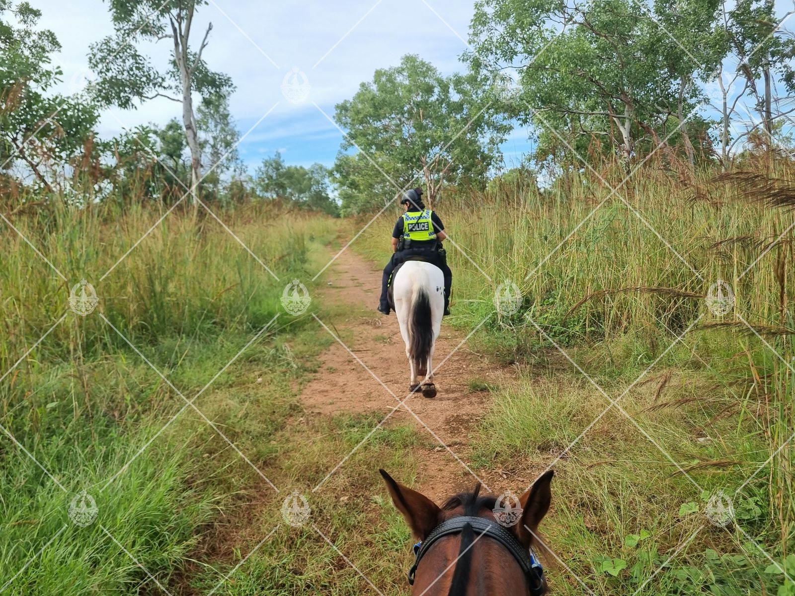Search And Rescue Success The National Tribune